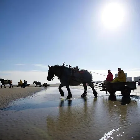In Near The Apartament Nieuwpoort