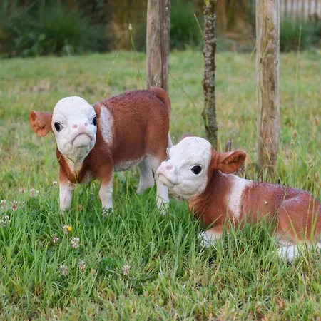 In Near The Nieuwpoort