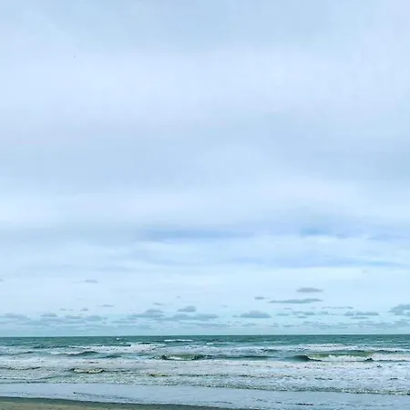 Apartment In Near The *