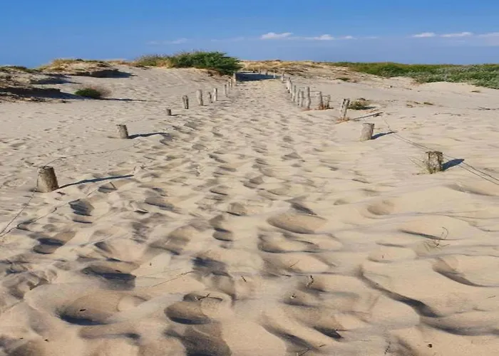 In Near The Apartment Nieuwpoort