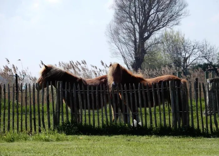 Apartment In Near The