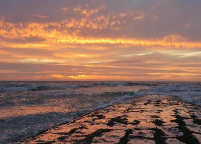 In Near The Apartment Nieuwpoort