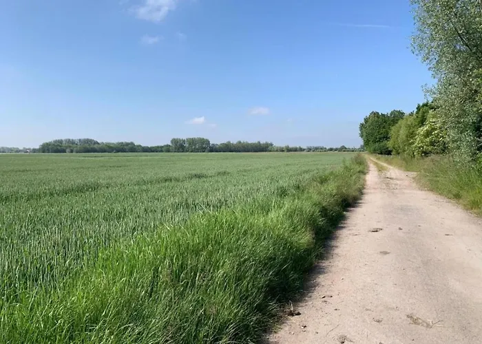 Apartment In Near The *