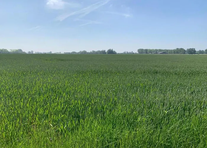 Apartment In Near The